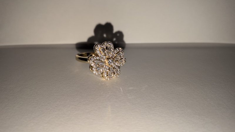Customer photo 1